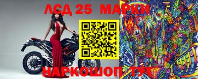 крисы Кимры