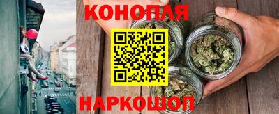 крисы Кимры