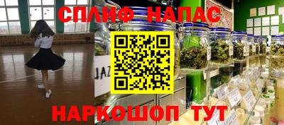 мдпв Кингисепп