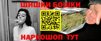 мдпв Кингисепп