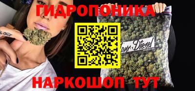 мдпв Кингисепп