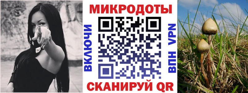 Галлюциногенные грибы ЛСД Иркутск