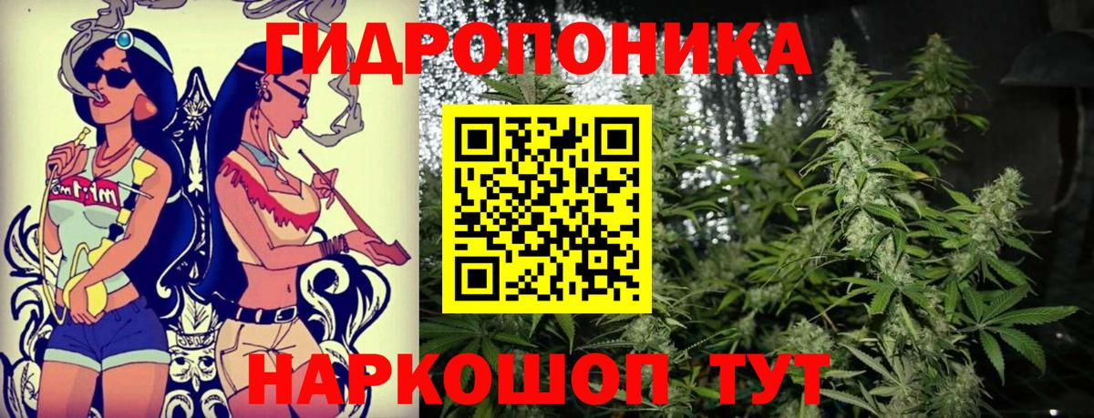 Бошки Шишки VHQ Иркутск